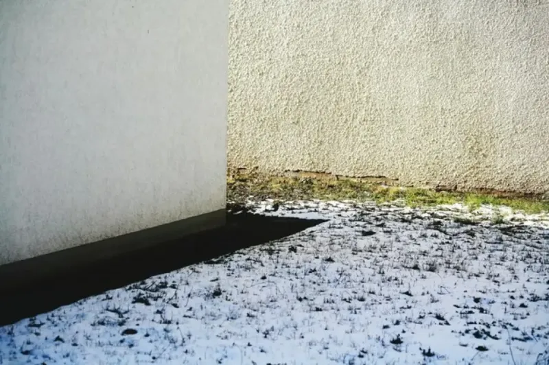 How to Identify and Treat Rising Damp in Your Home