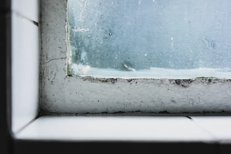 DAMPNESS IN YOUR HOME - WHAT YOU NEED TO KNOW